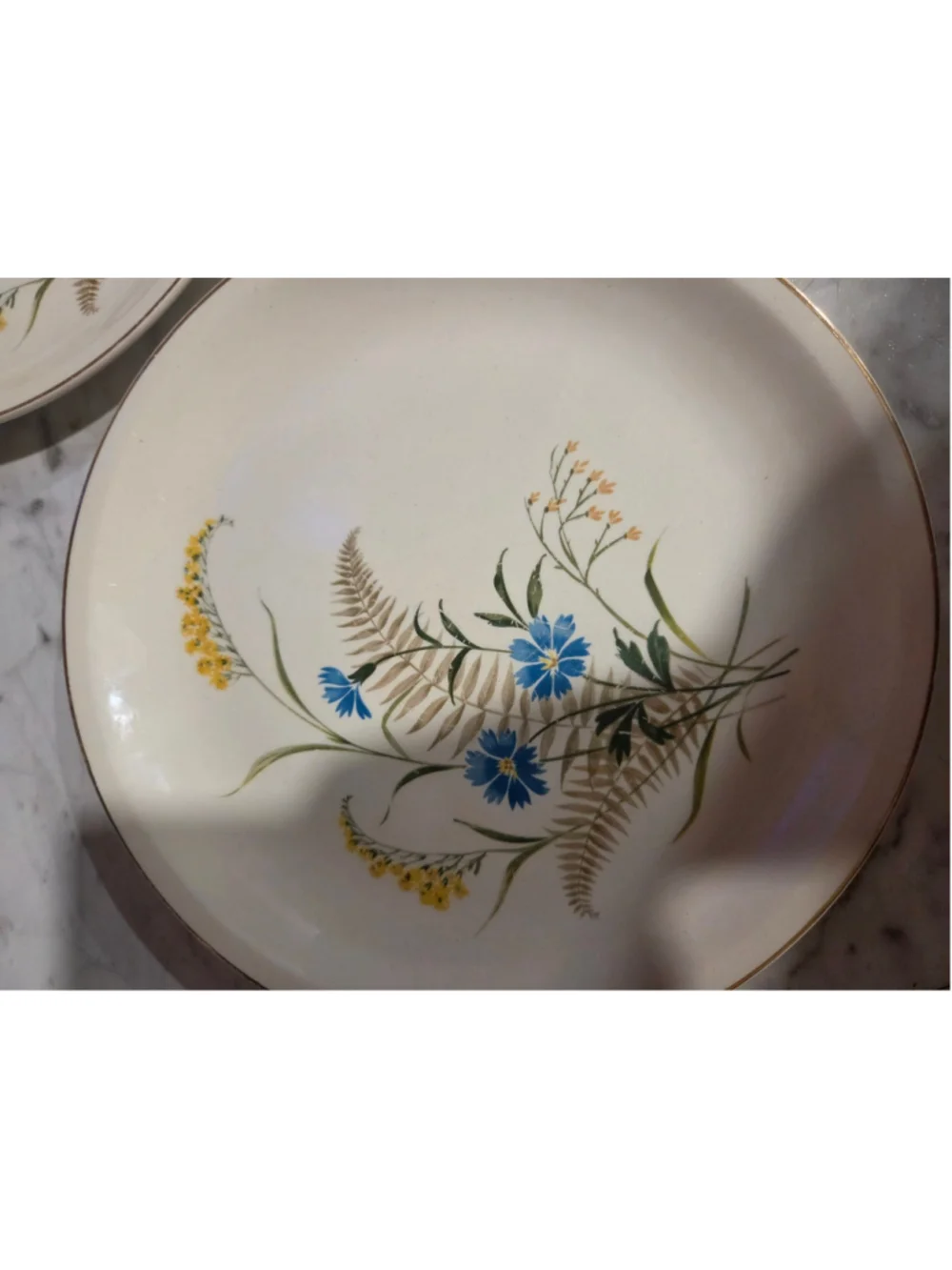 Paden City Pottery Floral Dinner Plate One Size Beige Blue